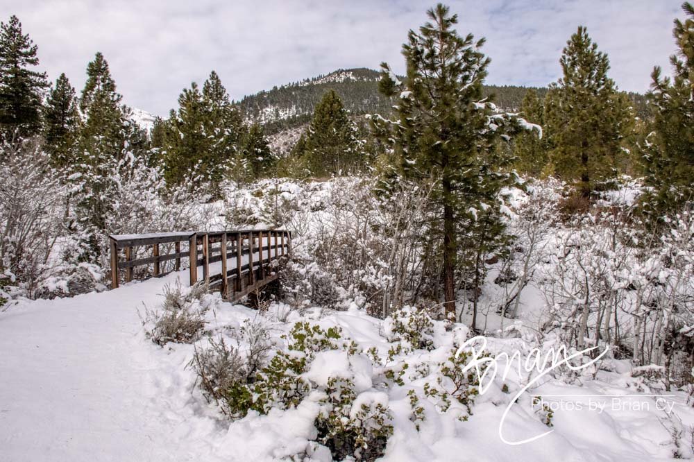 Galena Creek Recreational Area - Reno, Nevada (December 2019)