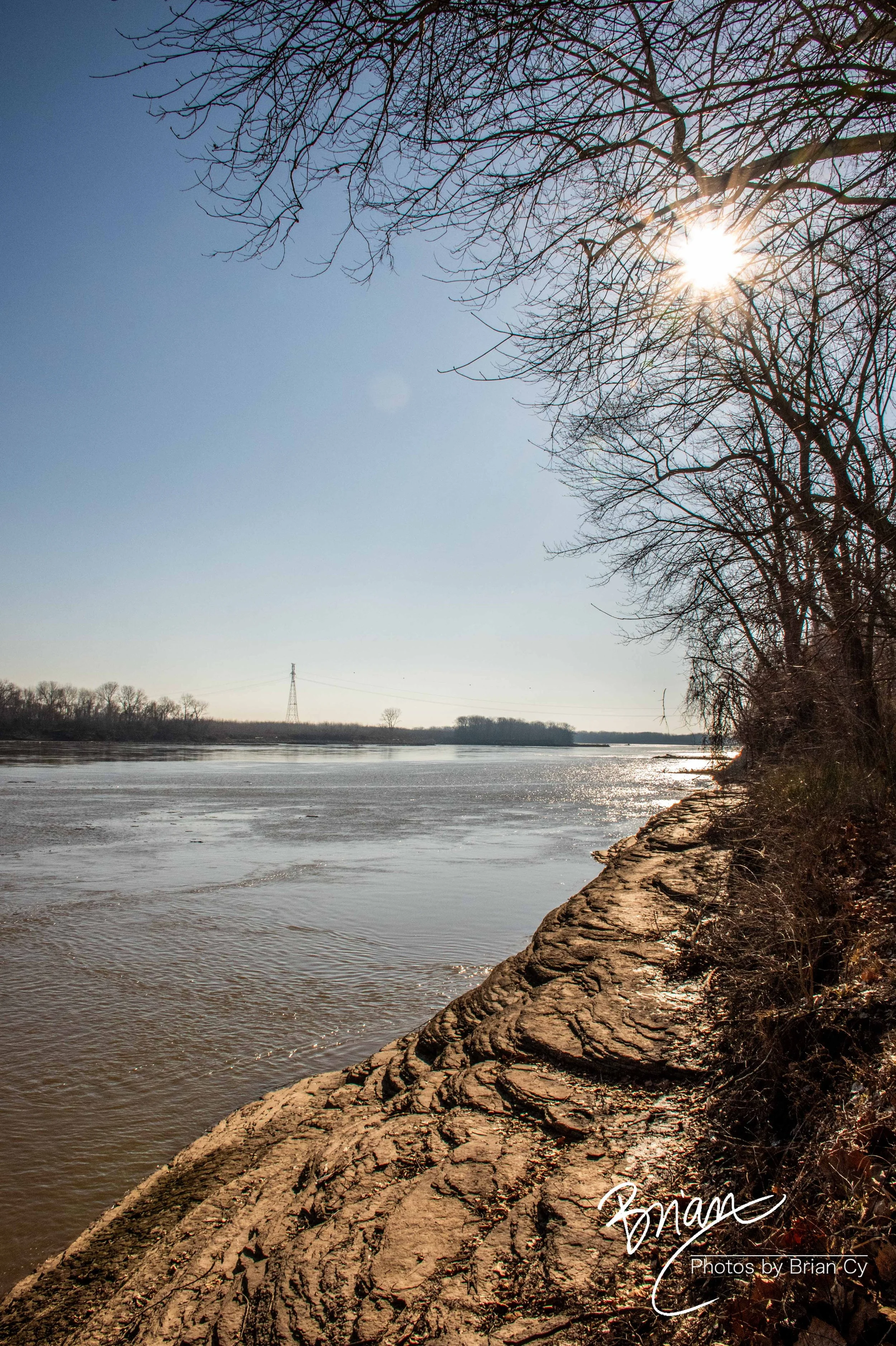 LoRes_WM_20250308_StLouis_Edit-0207.jpg