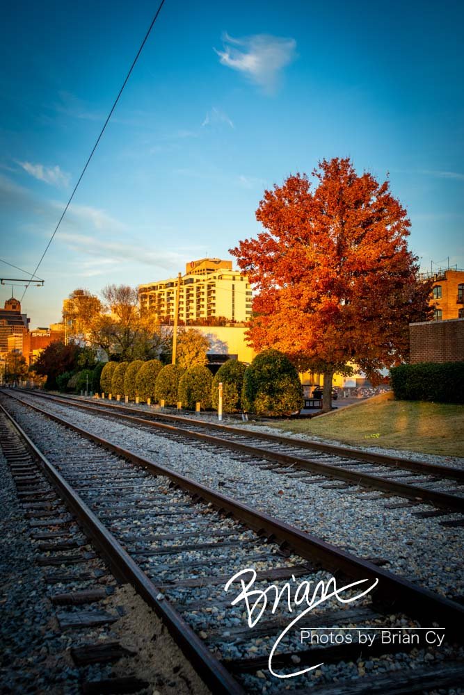 LoRes_WM_20181117_Memphis2_Edit-0389.jpg