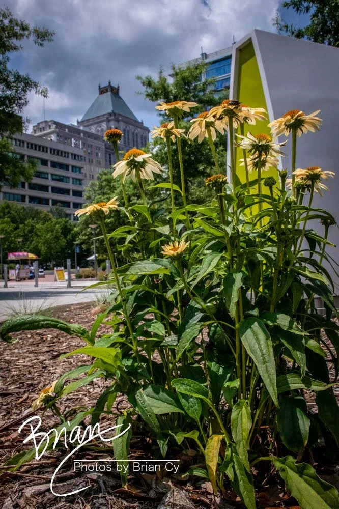 LoRes_WM_20190601_Greensboro_Edit-6698.jpg