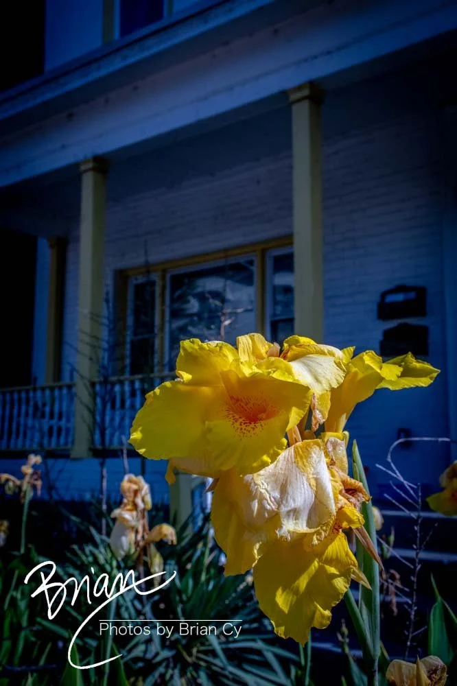 LoRes_WM_20210709_Richmond_Edit-2004.jpg