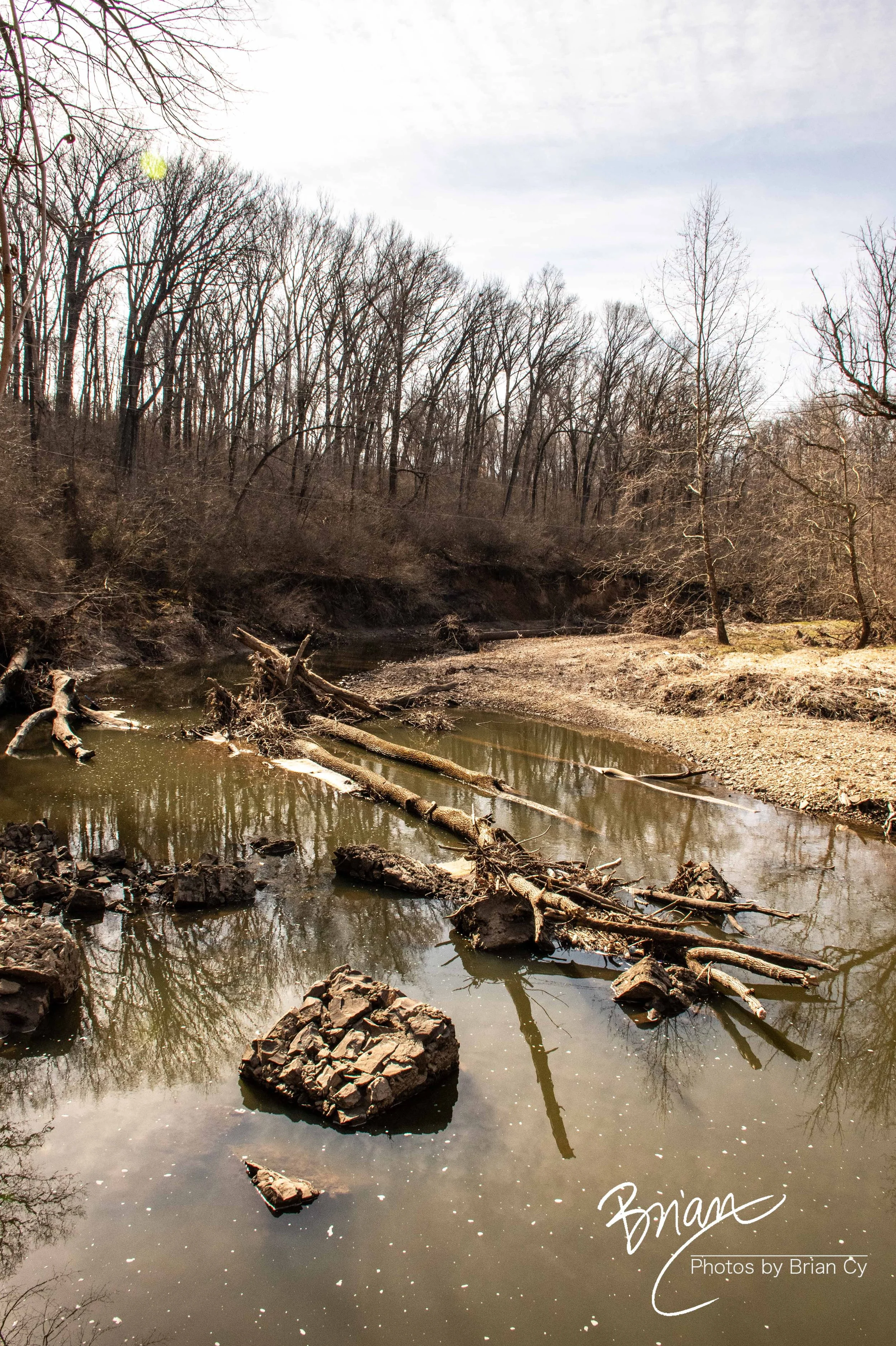 LoRes_WM_20250308_StLouis_Edit-0475.jpg