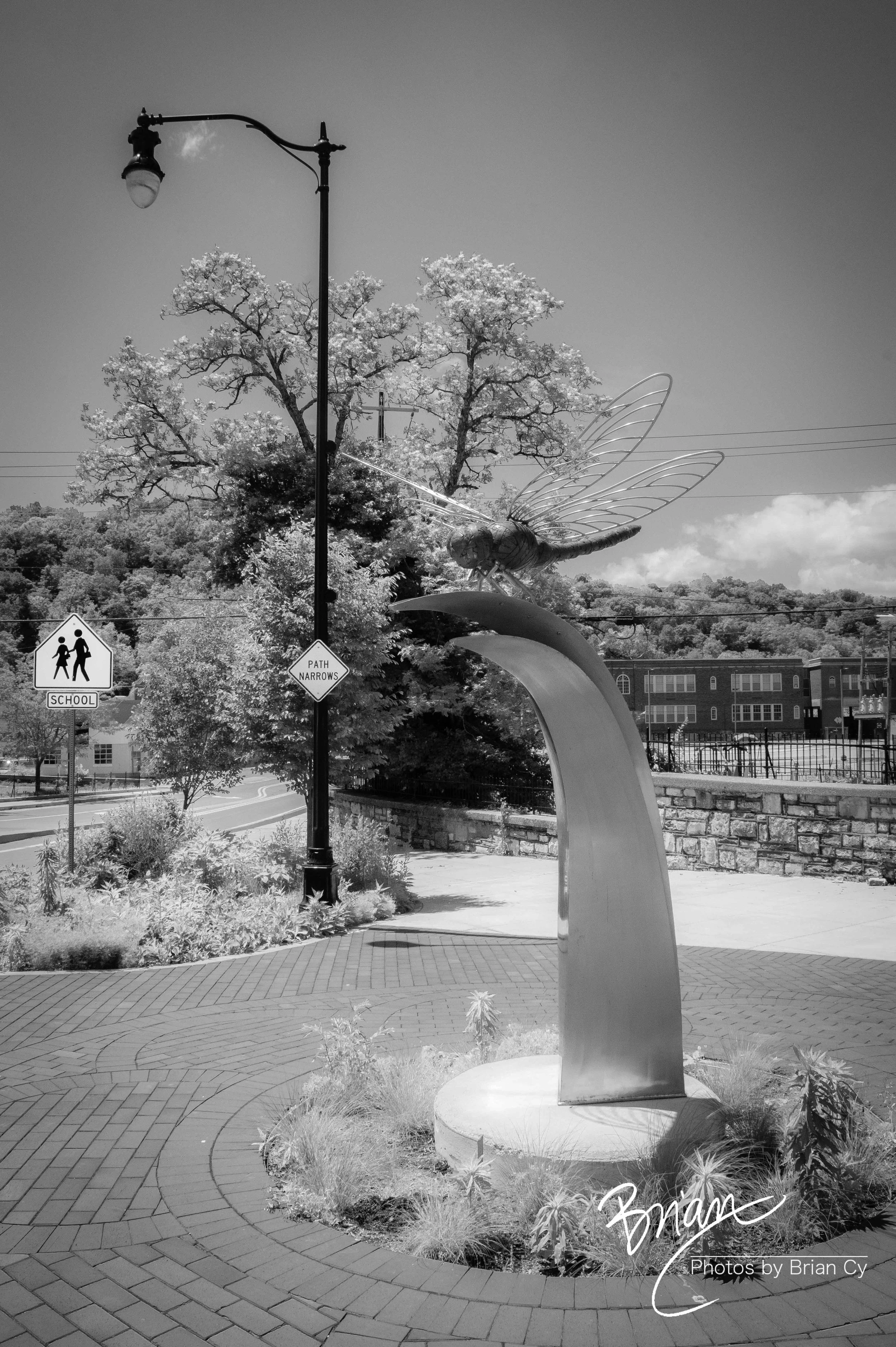 LoRes_WM_20250517_Frankfort_Edit-2233.jpg