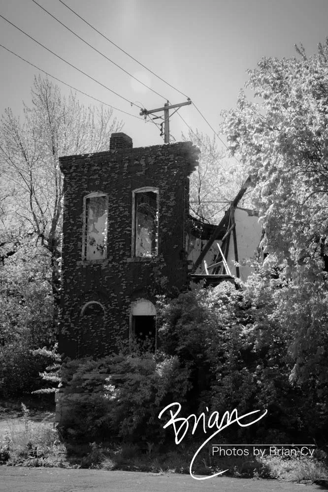 LoRes_WM_20240414_StLouis_Edit-5248.jpg