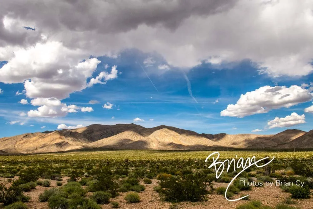 LoRes_WM_20190425_Goodsprings_Edit-1223.jpg
