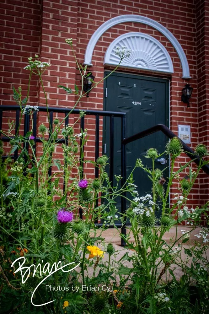 LoRes_WM_20240526_StLouis_Edit-7983.jpg