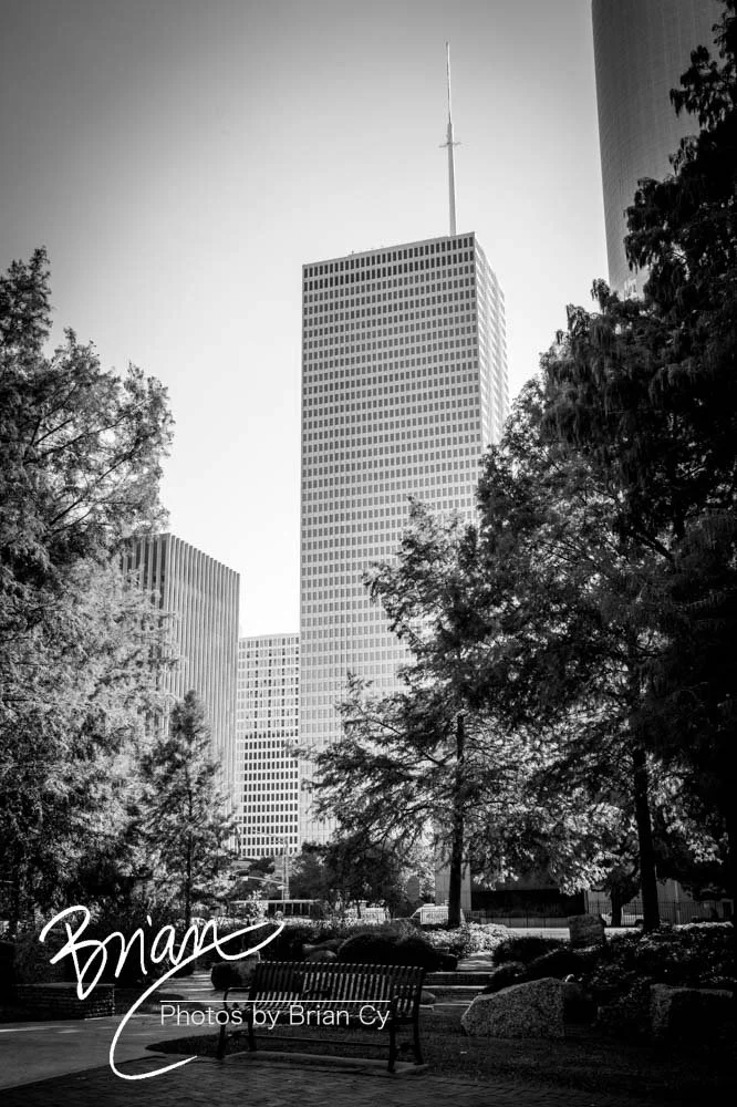 LoRes_WM_20191106_Houston_Edit-9273.jpg
