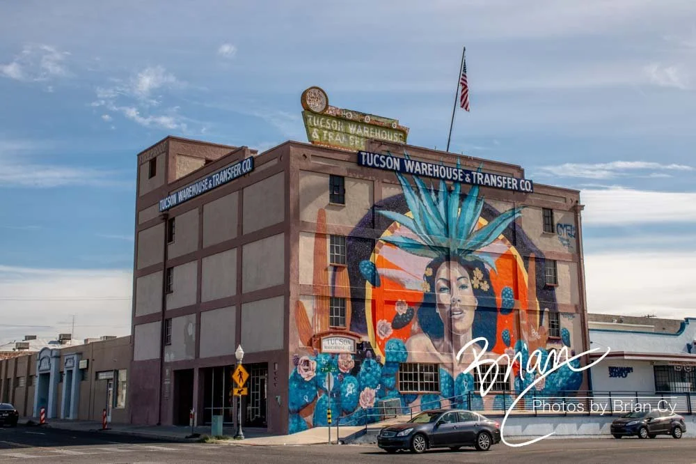 LoRes_WM_20191110_Tucson_Edit-4594.jpg