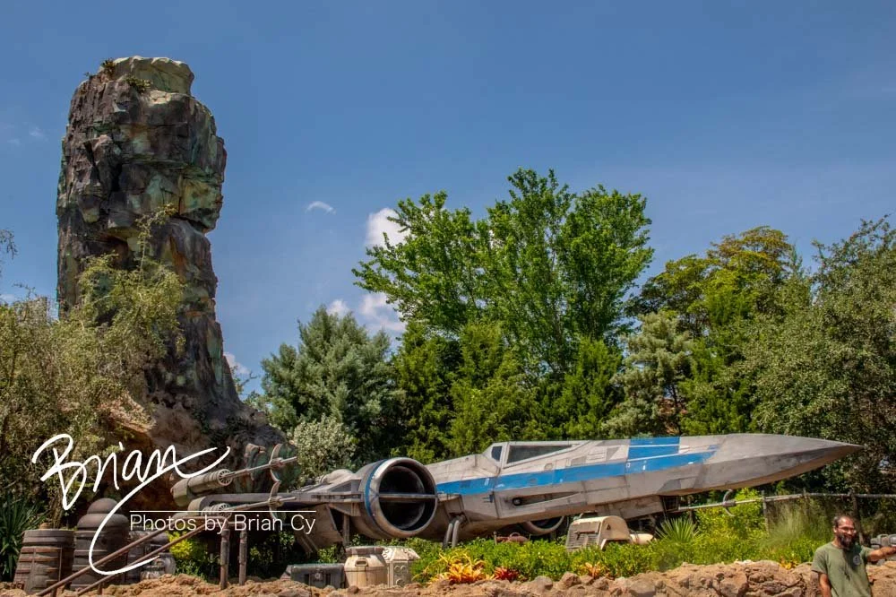 LoRes_WM_20230702_TheFam_Disney_Edit-5503.jpg