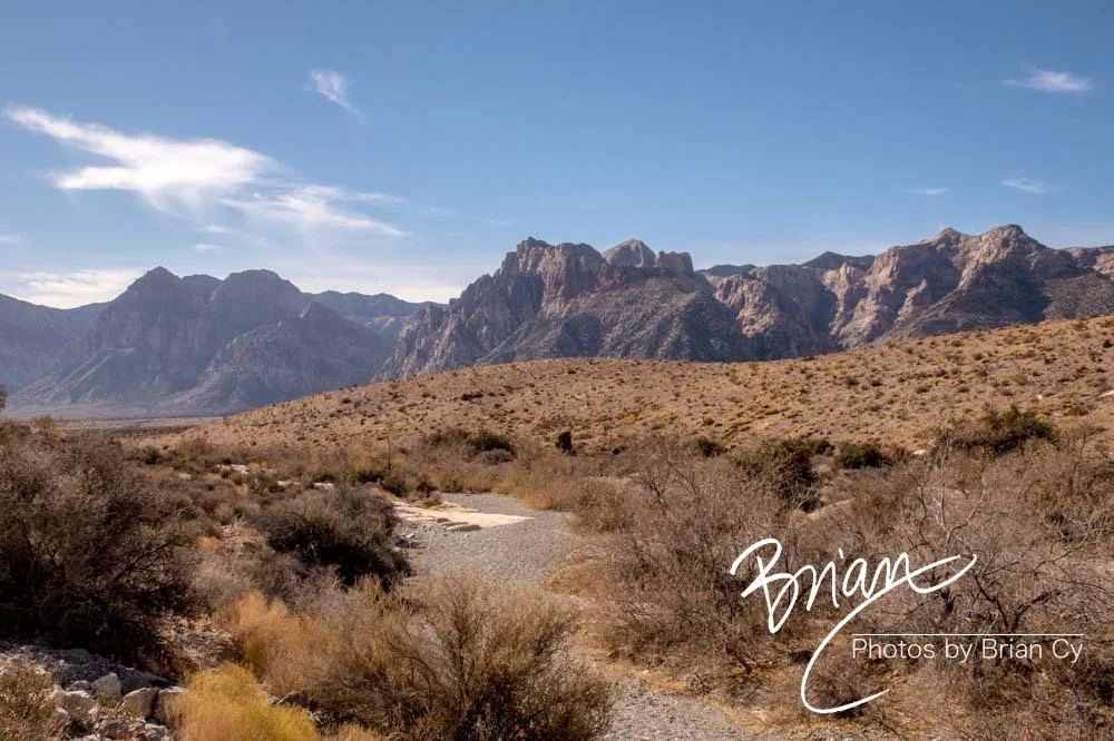 LoRes_WM_20191113_RedRockCanyon_Edit-9000.jpg
