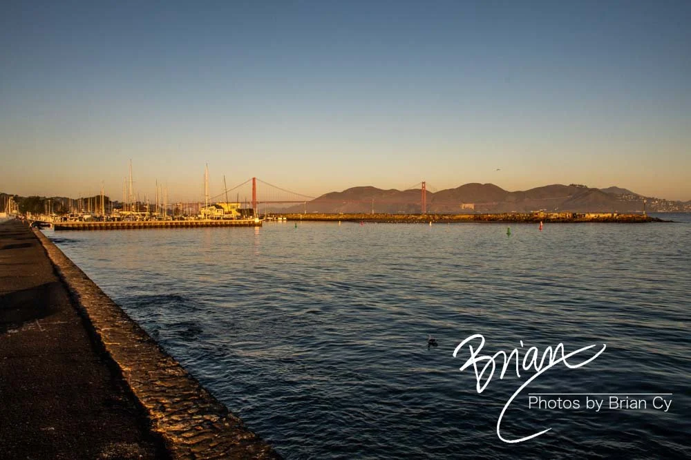 LoRes_WM_20201021_SanFrancisco_Edit-1284.jpg