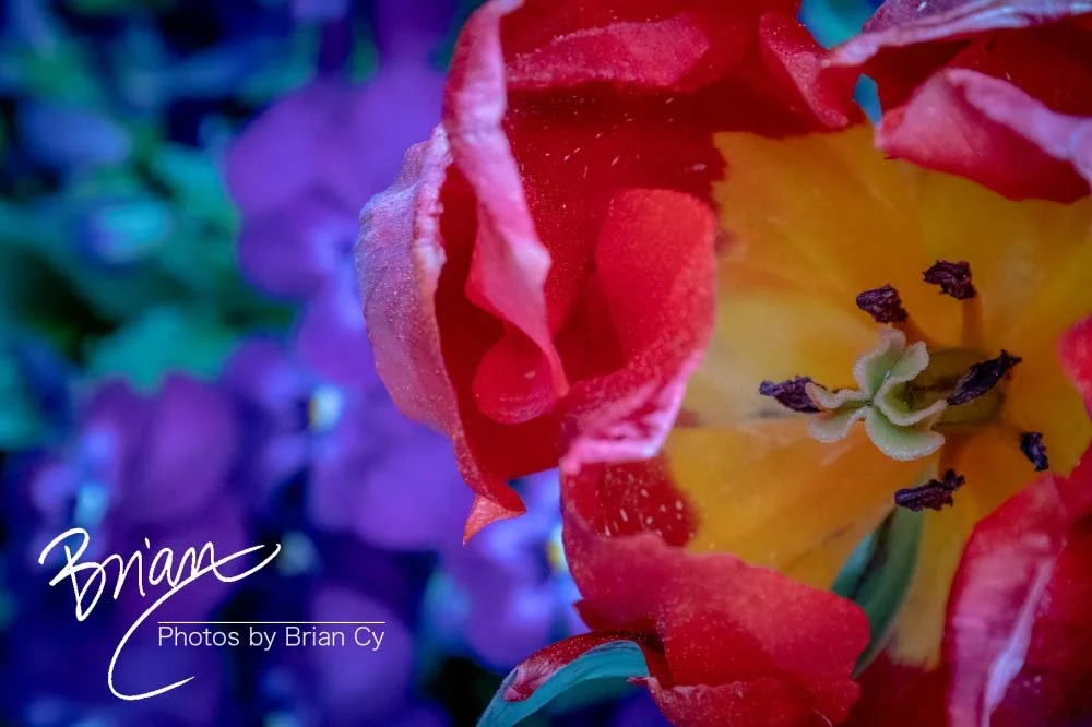 LoRes_WM_20190406_Atlanta_Edit-6924.jpg