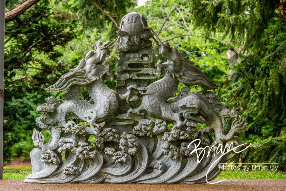 LoRes_WM_20180620_Memphis_Botanical_GardensA_Edit-0257.jpg