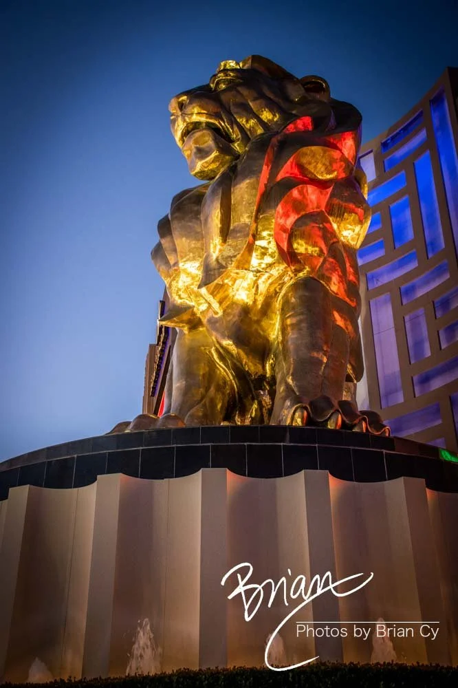 LoRes_WM_20190424_LasVegas_Edit-0241.jpg