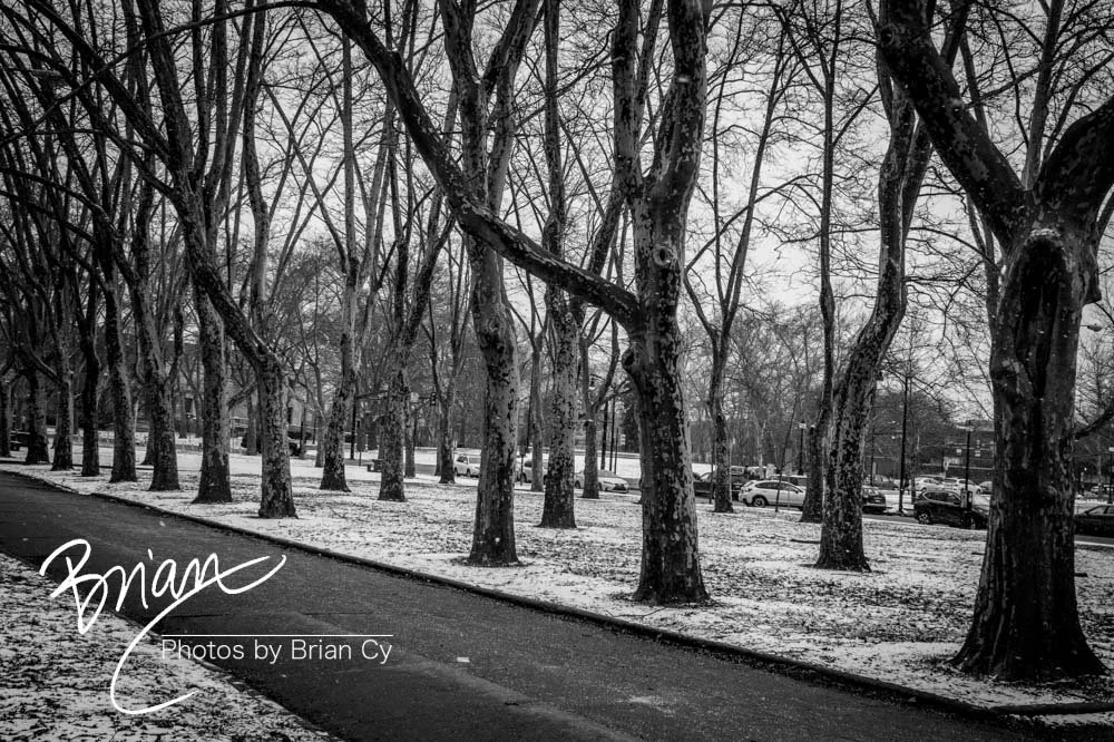 LoRes_WM_20190126_Pittsburgh_Edit-3450.jpg
