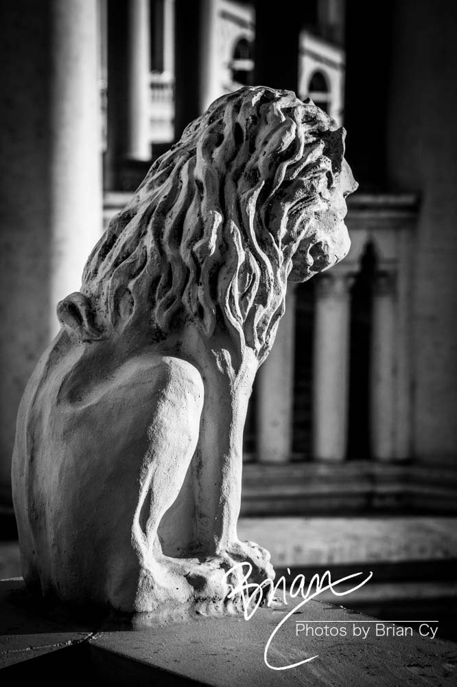 LoRes_WM_20190424_LasVegas_Edit-9646.jpg