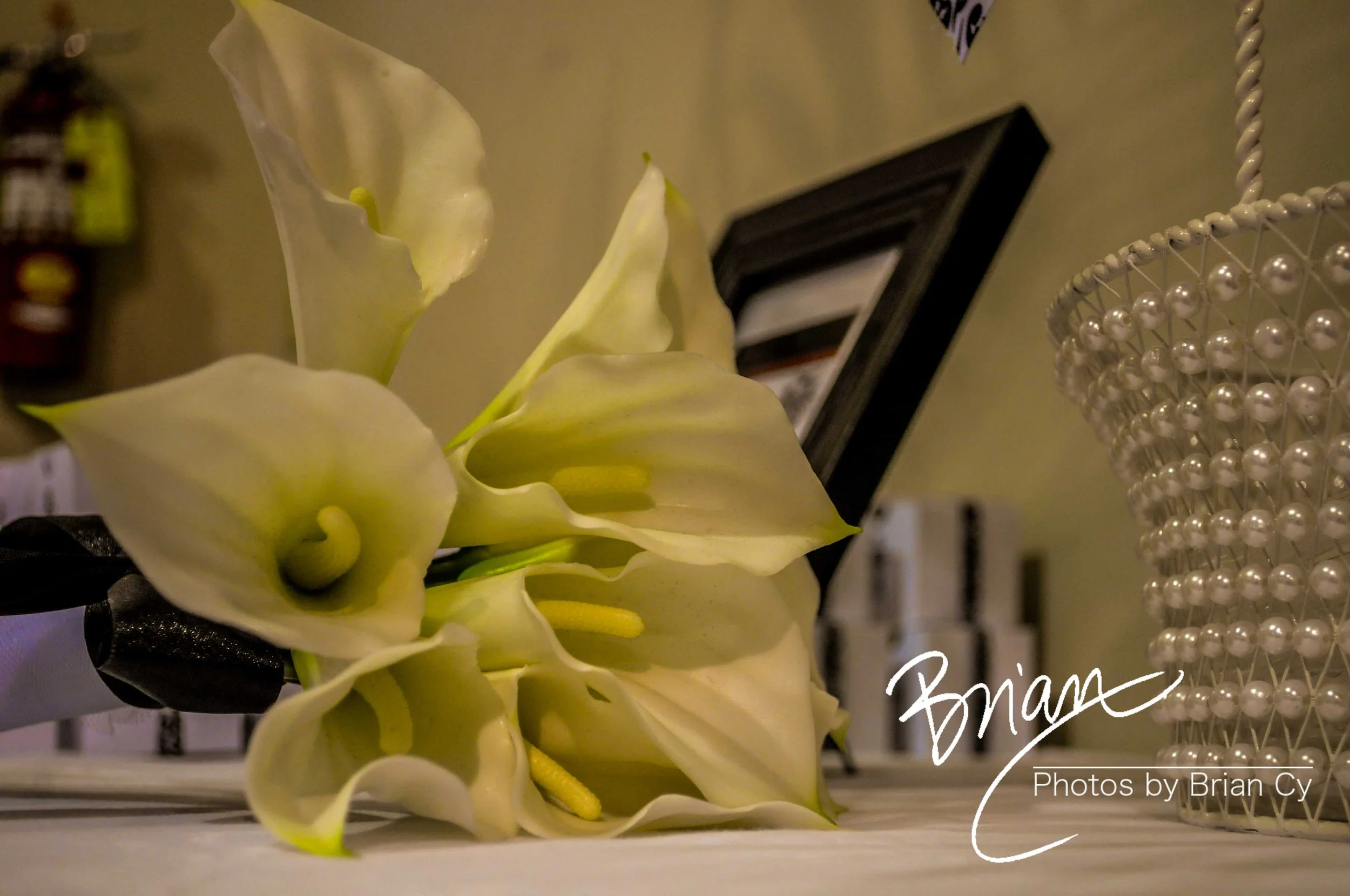 LoRes_WM_20100410_Travis_Wedding_Edit-3871.jpg