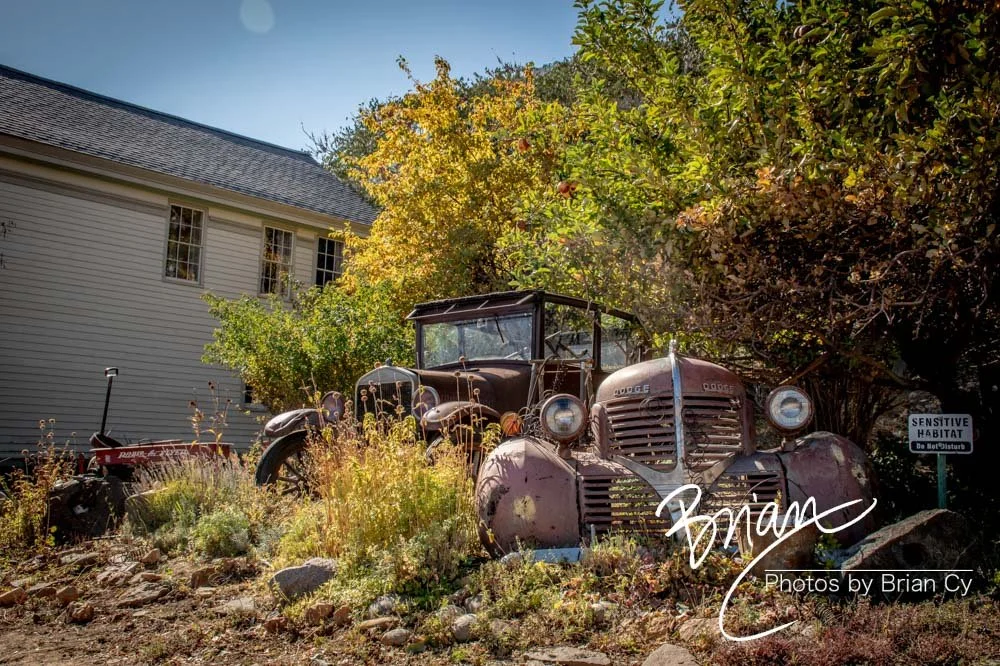 LoRes_WM_20191014_VirginiaCity_Edit-8115.jpg