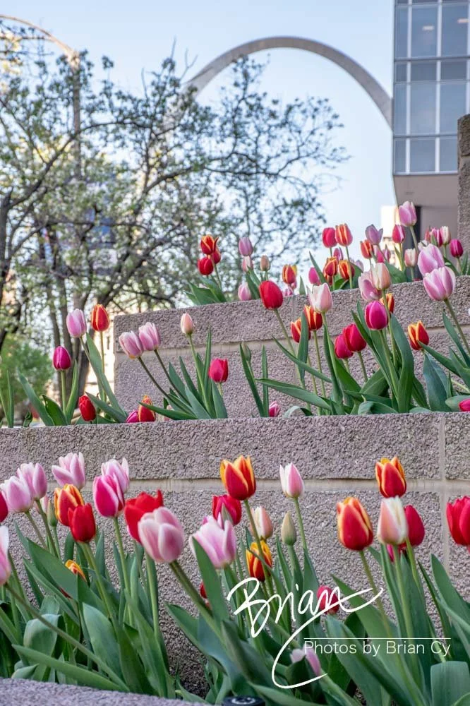 LoRes_WM_20190415_SaintLouis_Edit-0054.jpg
