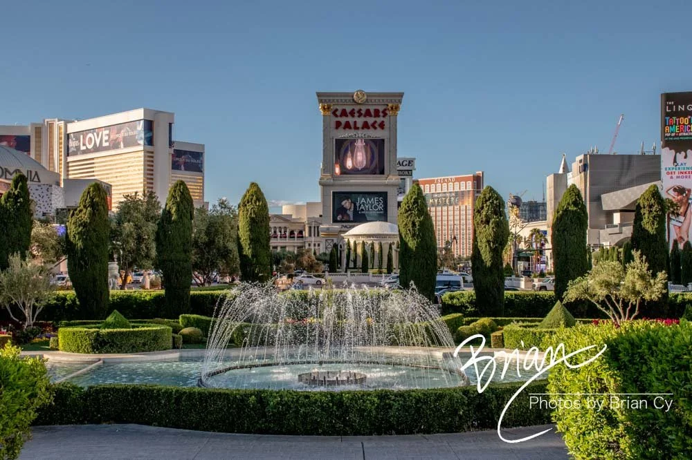 LoRes_WM_20190424_LasVegas_Edit-9257.jpg