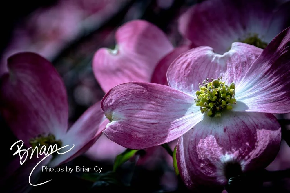 LoRes_WM_20190406_Atlanta_Edit-8216.jpg