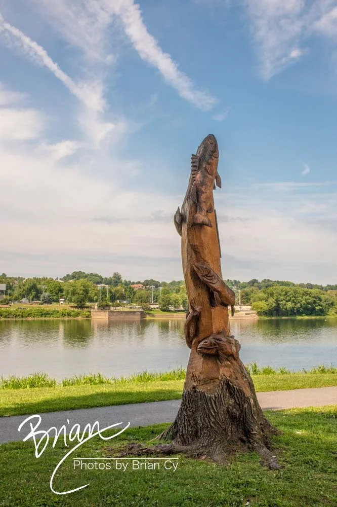 LoRes_WM_20220731_Harrisburg_Edit-5073.jpg