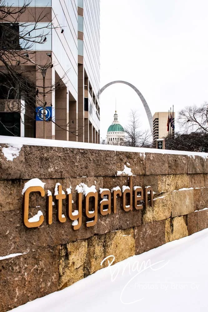 LoRes_WM_20250106_StLouis_Edit-6718.jpg