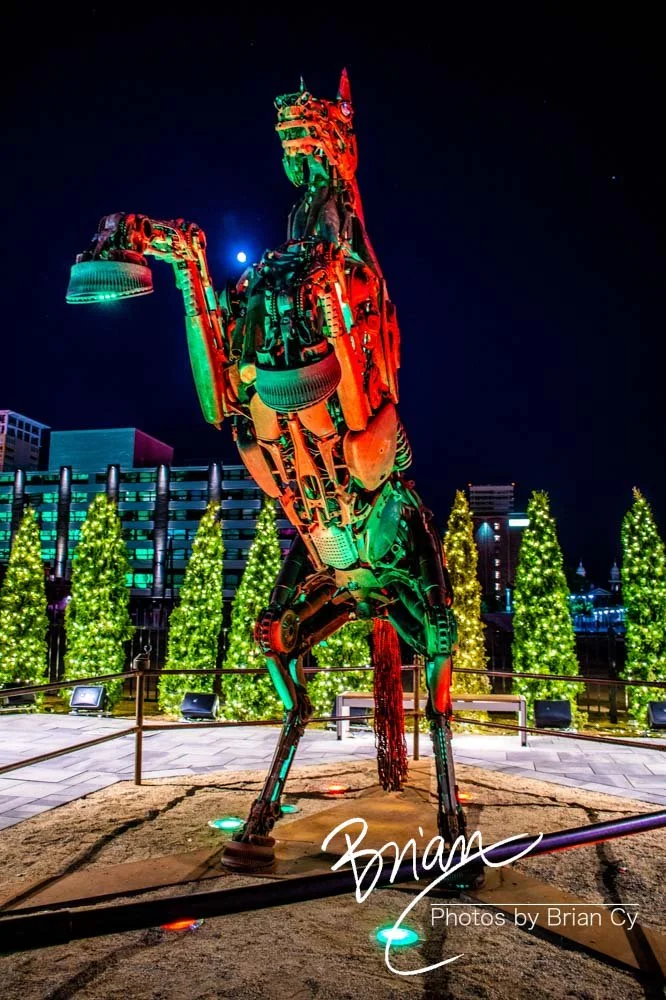 LoRes_WM_20200708_Reno_Edit-6819.jpg