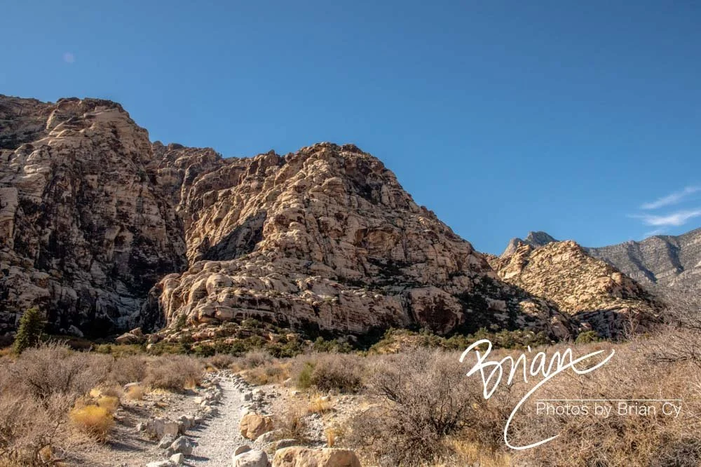 LoRes_WM_20191113_RedRockCanyon_Edit-9164.jpg