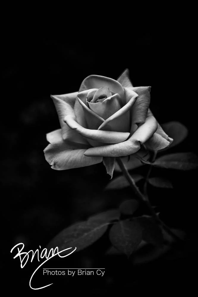 LoRes_WM_20190921_Atlanta_Edit-9842.jpg