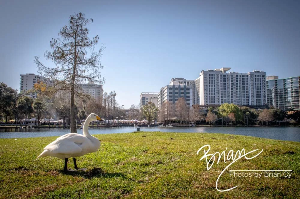 LoRes_WM_20190217_Orlando_Edit-4333.jpg