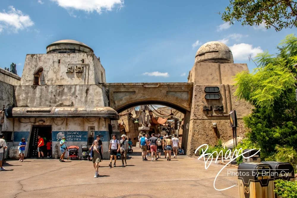 LoRes_WM_20230702_TheFam_Disney_Edit-5534.jpg
