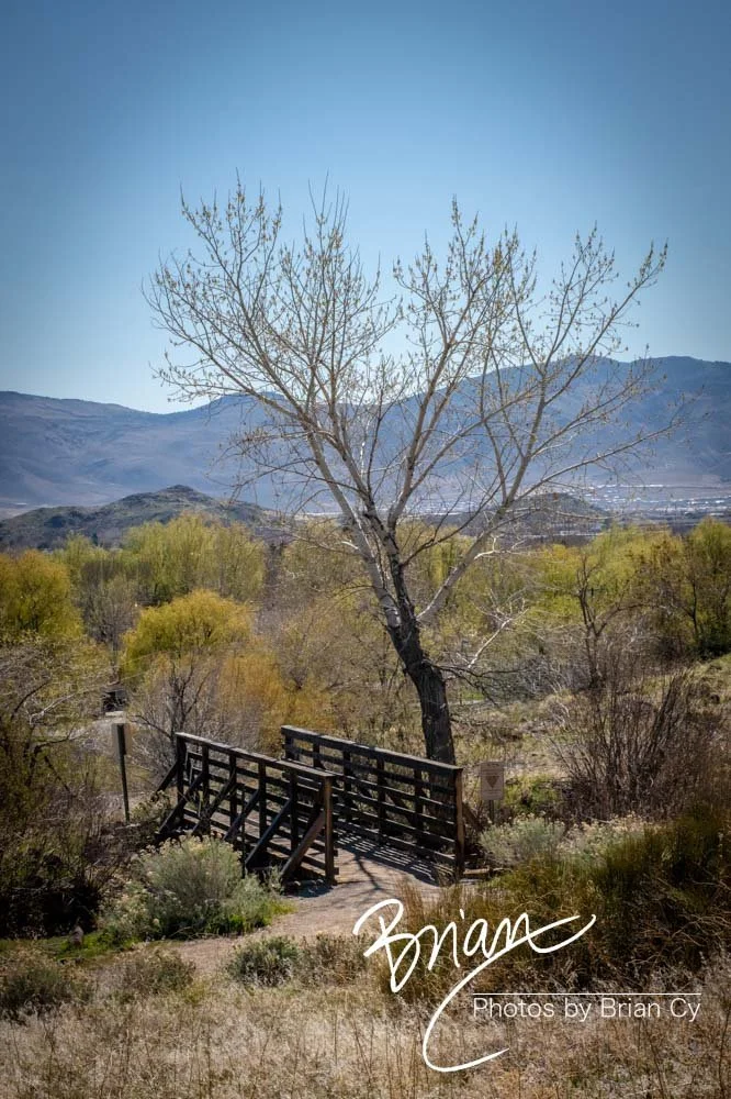 LoRes_WM_20200415_Reno_Edit-1139.jpg