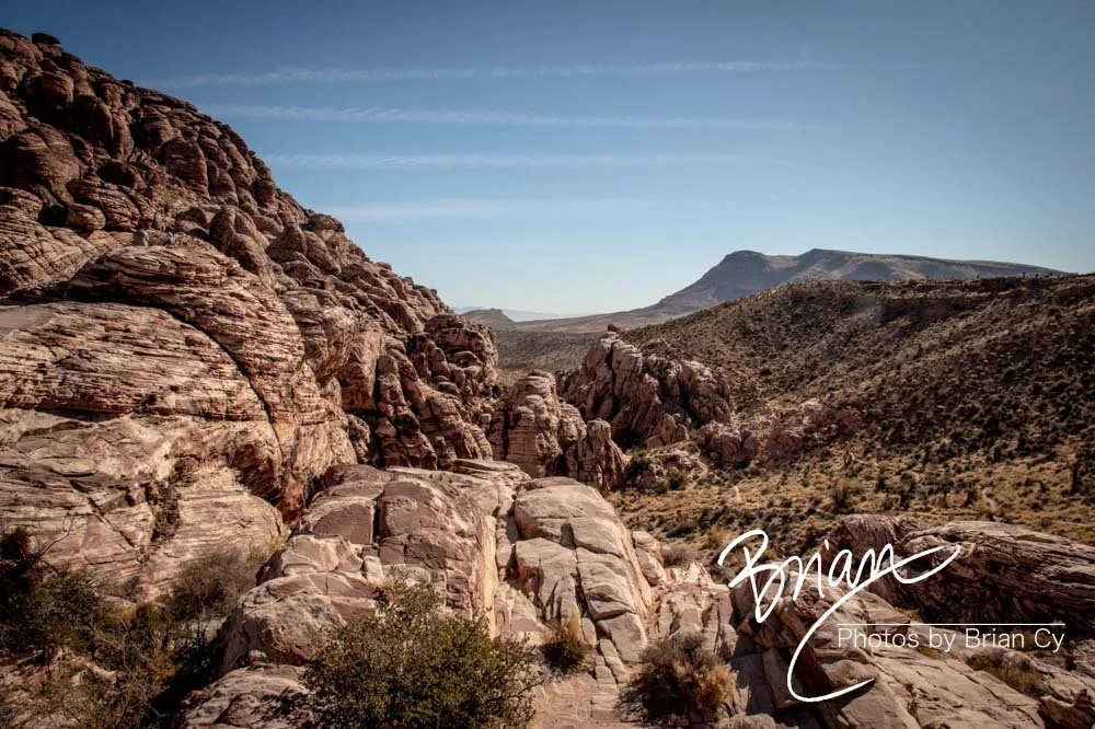LoRes_WM_20191113_RedRockCanyon_Edit-8631.jpg