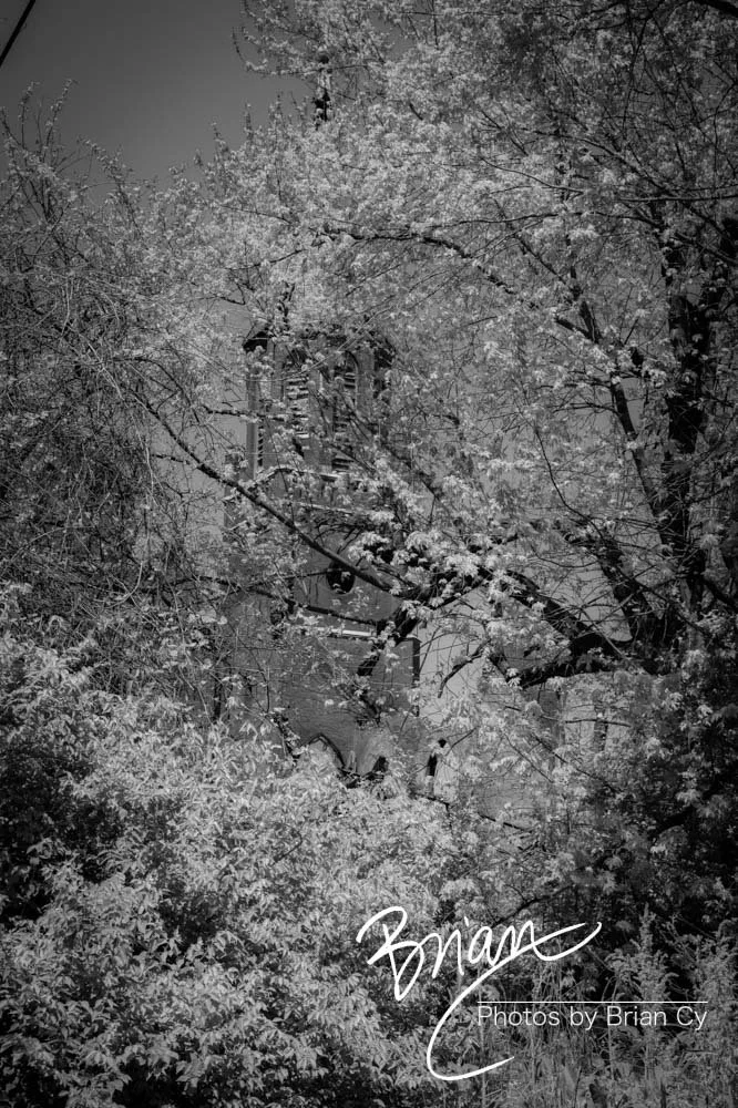 LoRes_WM_20240414_StLouis_Edit-5454.jpg