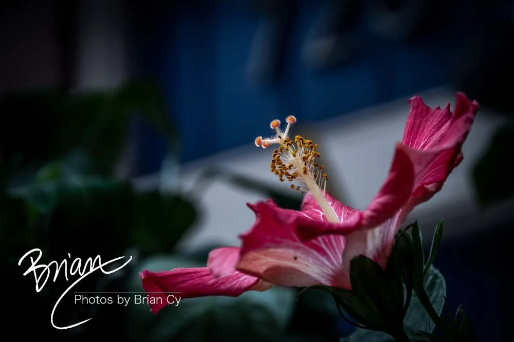 LoRes_WM_20191105_NewOrleans_Edit-7834.jpg