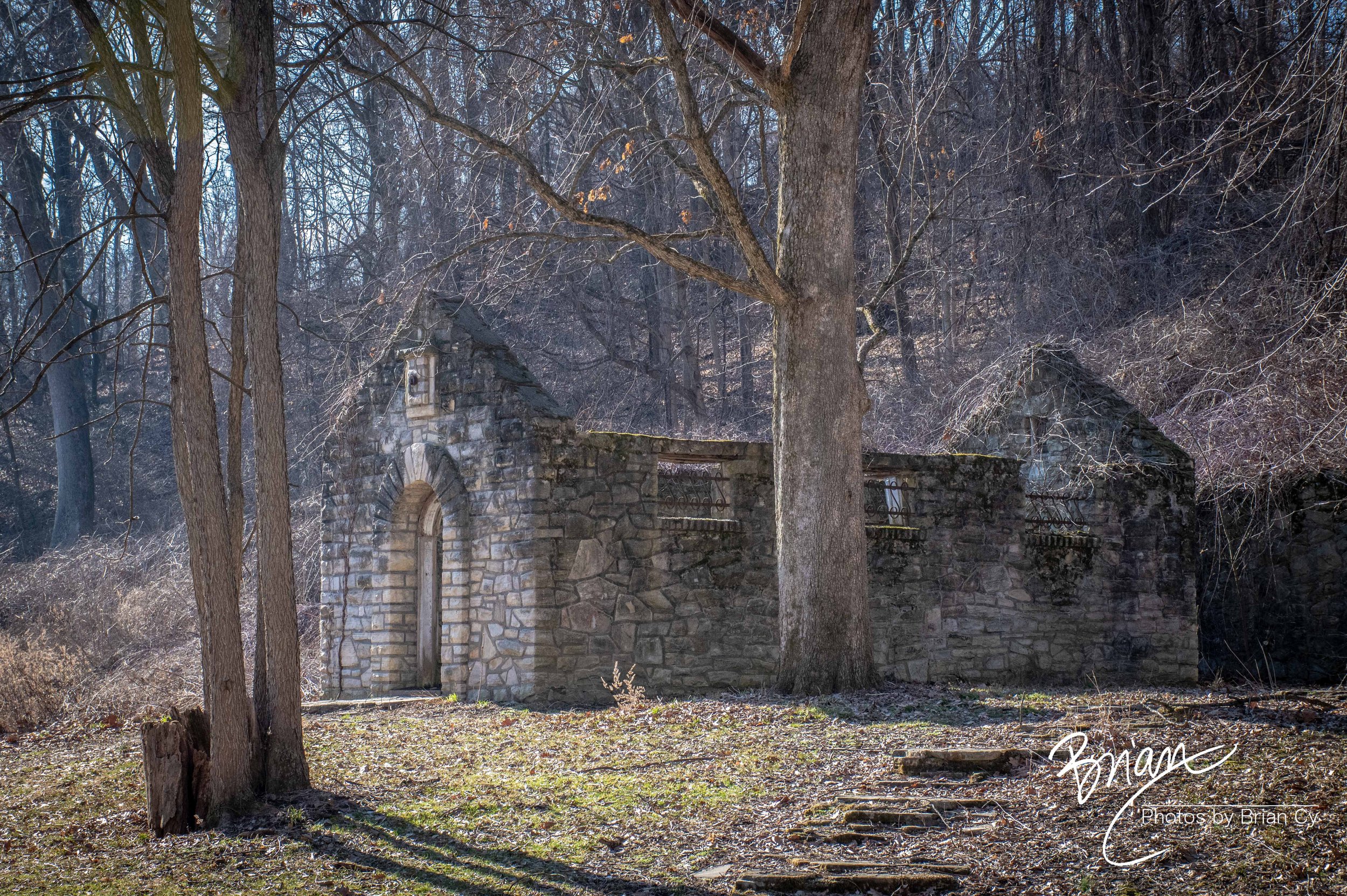 LoRes_WM_20250308_StLouis_Edit-0254.jpg