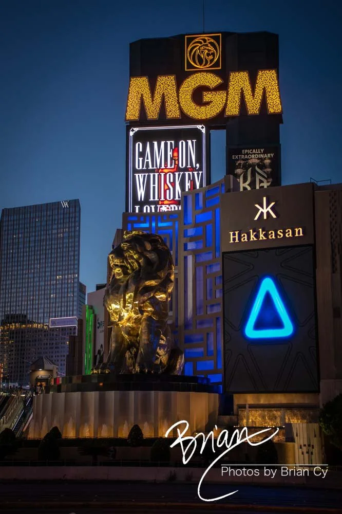 LoRes_WM_20190424_LasVegas_Edit-0269.jpg