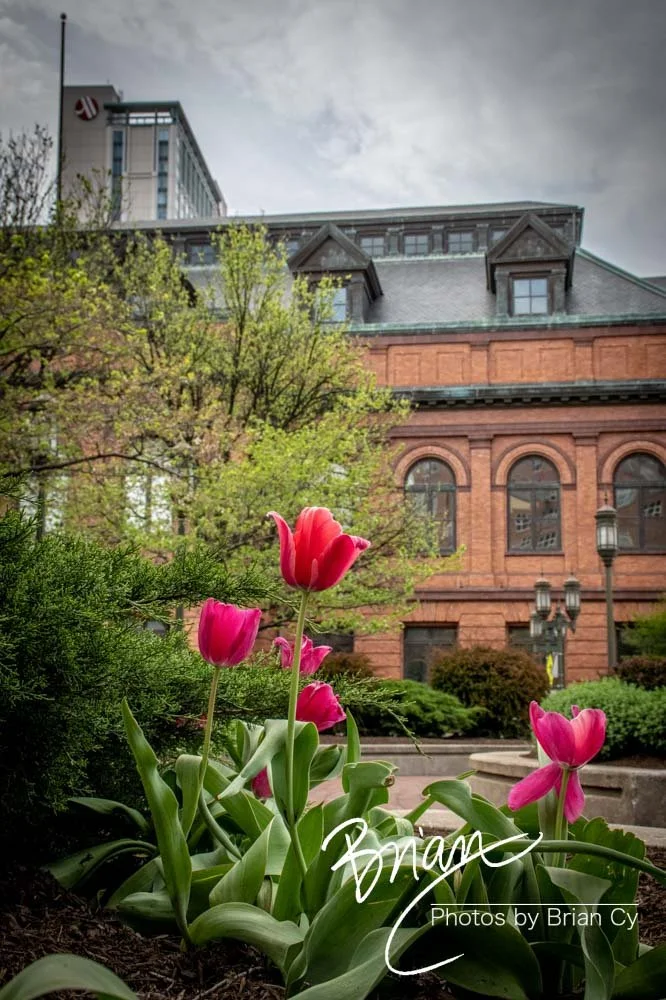 LoRes_WM_20220416_Baltimore_Edit-3773.jpg