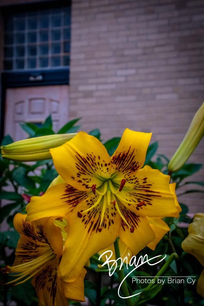 LoRes_WM_20240609_StLouis_Edit-2244.jpg