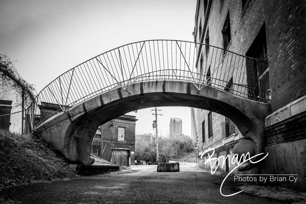 LoRes_WM_20231217_StLouis_Edit-8313.jpg