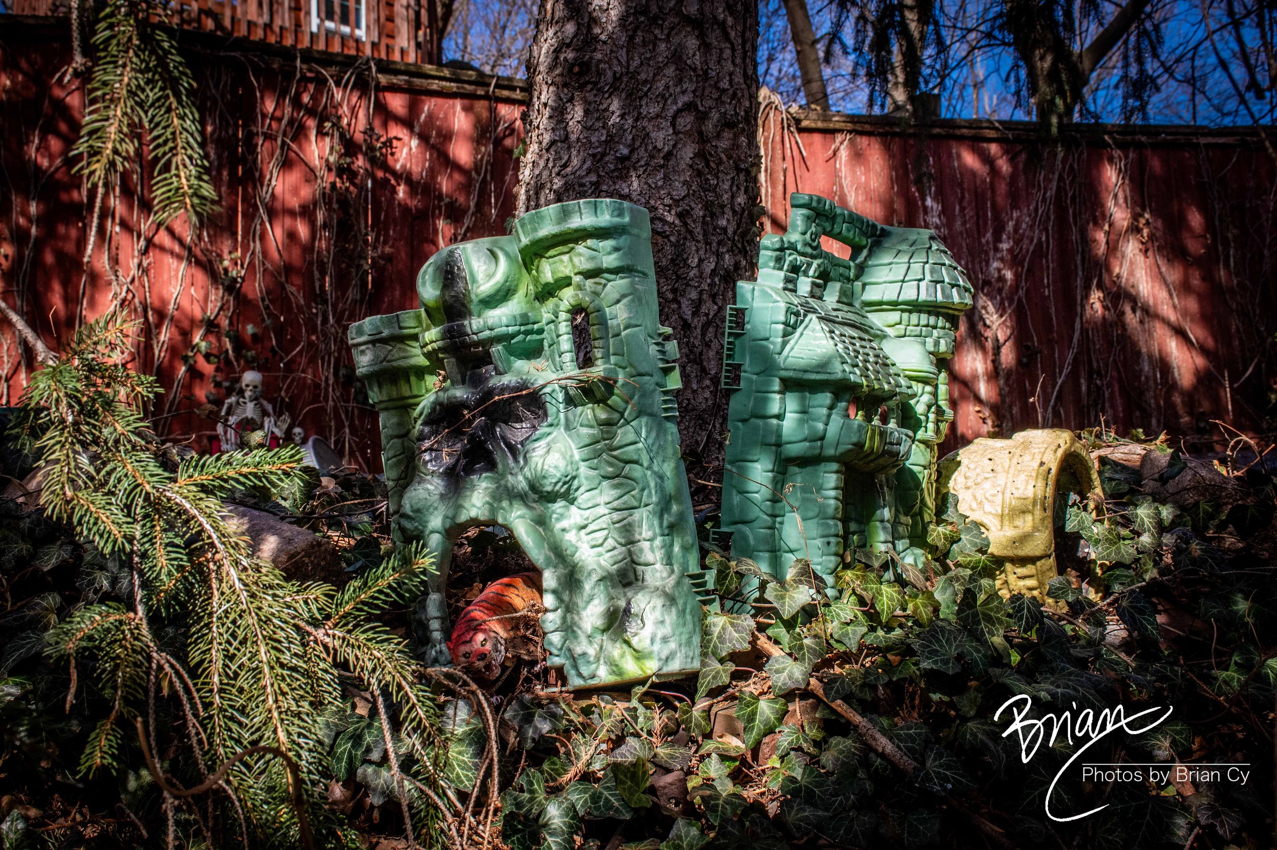 LoRes_WM_20250301_StLouis_Edit-9929.jpg