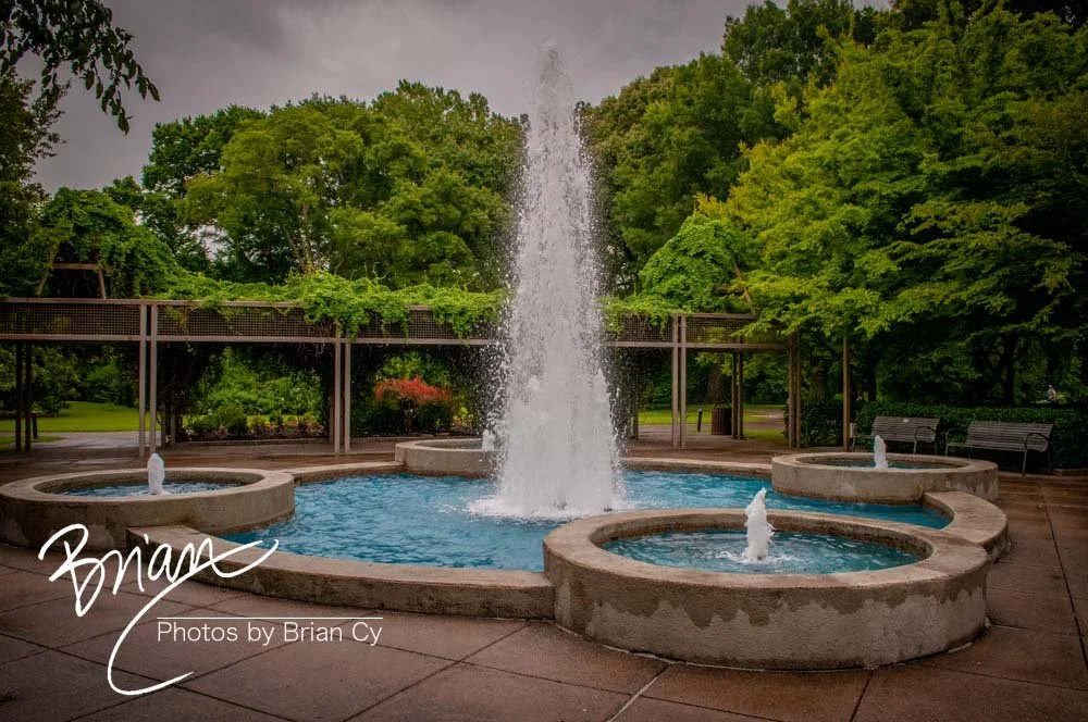 LoRes_WM_20180620_Memphis_Botanical_Gardens_Edit-9939.jpg