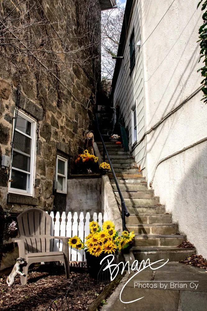 LoRes_WM_20221217_EllicottCity_Edit-8619.jpg