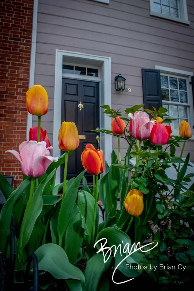 LoRes_WM_20220416_Baltimore_Edit-3652.jpg