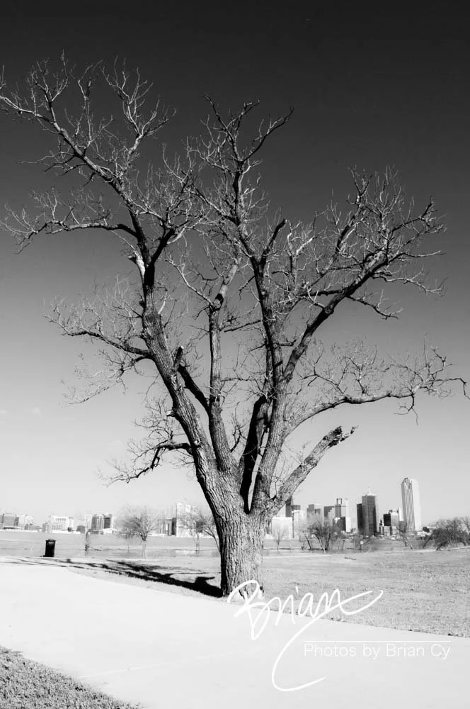 LoRes_WM_20180302_Dallas_Edit-8109.jpg