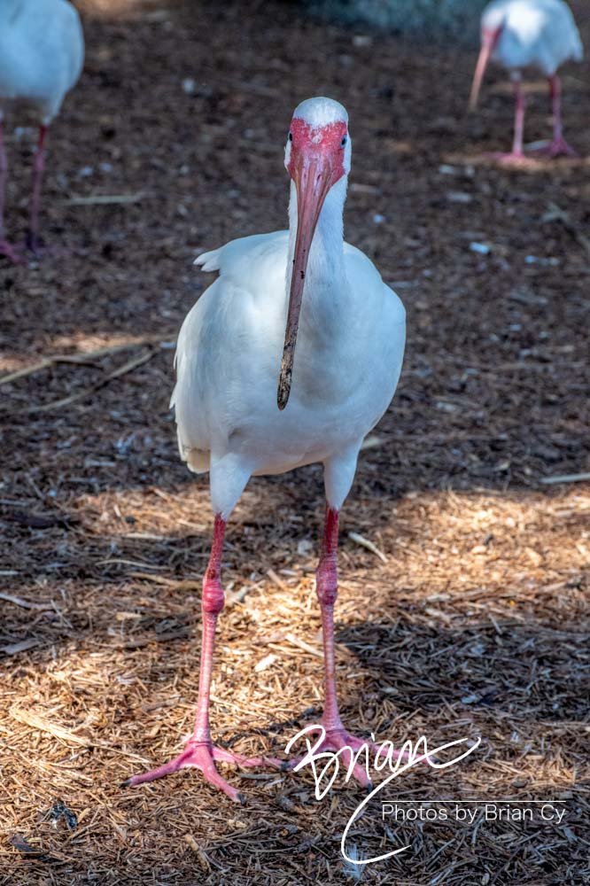 LoRes_WM_20190217_Orlando_Edit-5281.jpg