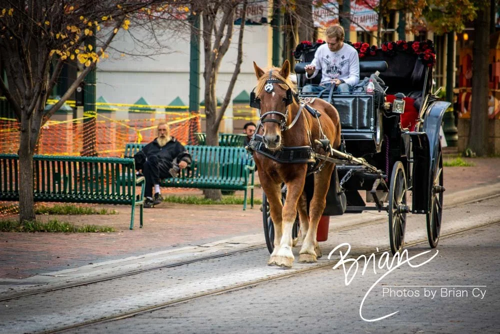 LoRes_WM_20181117_Memphis2_Edit-0091.jpg