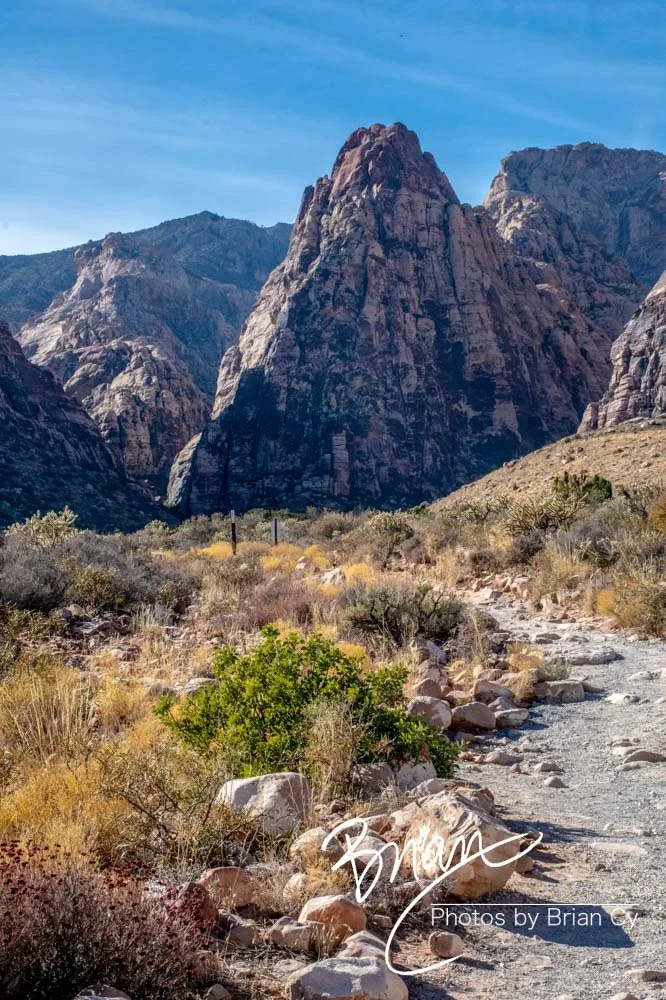 LoRes_WM_20191113_RedRockCanyon_Edit-9377.jpg