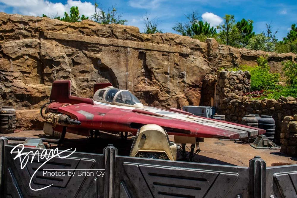 LoRes_WM_20230702_TheFam_Disney_Edit-5499.jpg